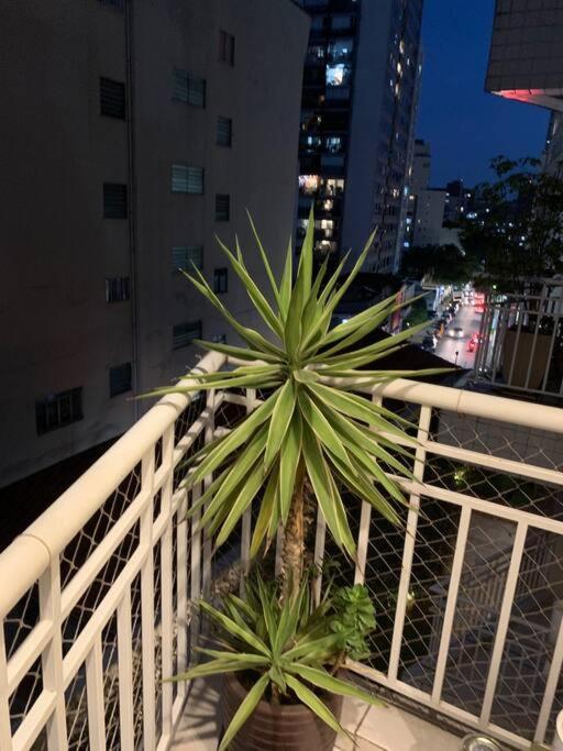 Apartamento Super Aconchegante Na Frei Caneca São Paulo